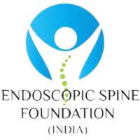 Endoscopic Spine Foundation India