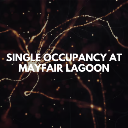 Single Occupancy at Mayfair Lagoon